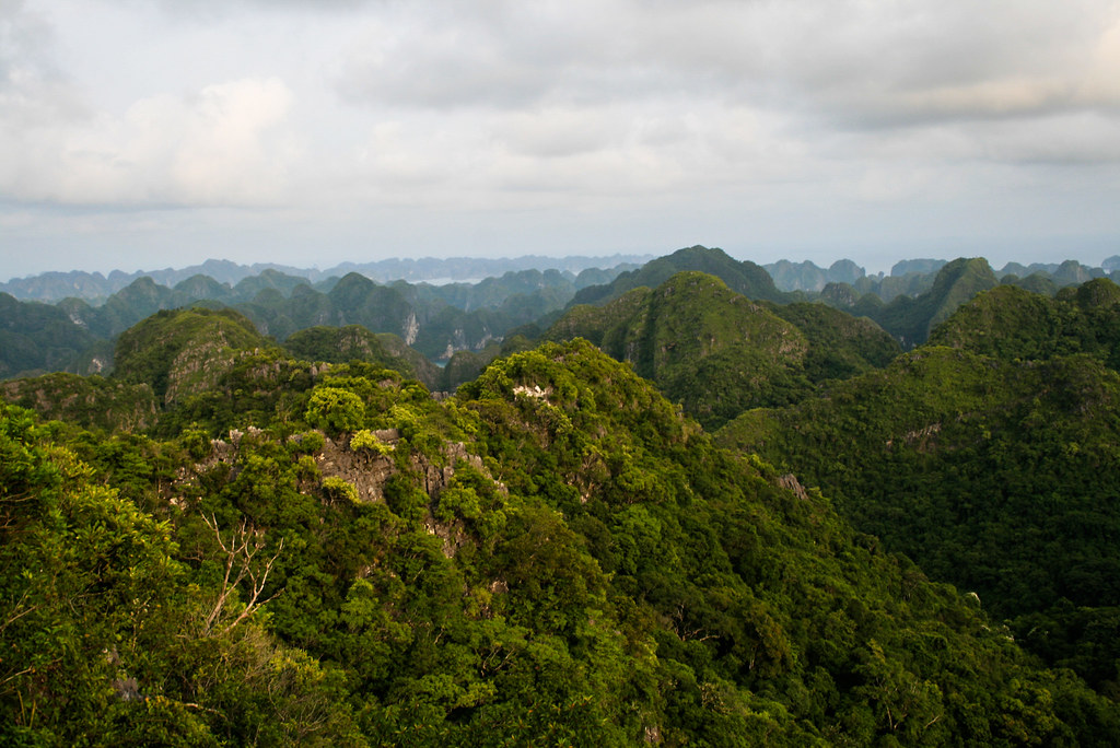 View of the Vietnam landscape.