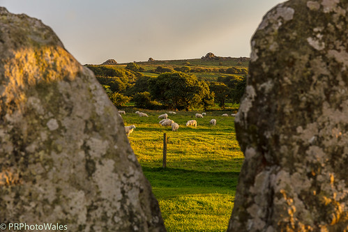 canon pembrokeshire wales ancient burial chamber nature neolithic peaceful photography prphotowales rocks rugged rural rustic scenic sheep stones tourism tranquility travel view