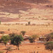 Landscape of Sahel