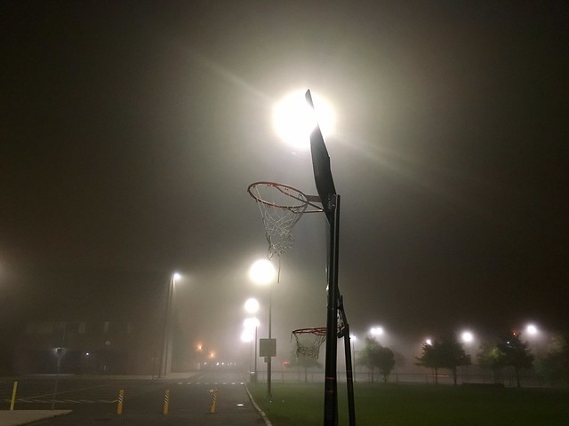 A Fog in the Night!