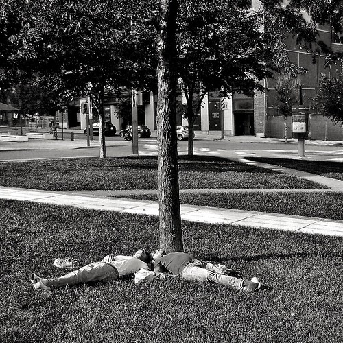 73 – Roots | by 53_minutes
