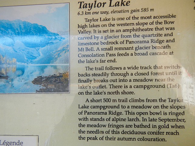 Taylor Lake / Panorama Ridge Larch Hike -  Sign info
