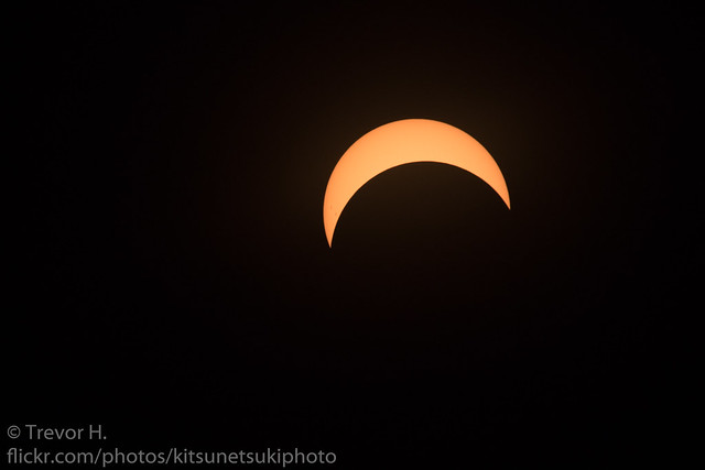 8-21-17 Solar Eclipse 4