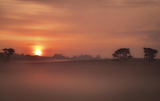 Foggy Dawn