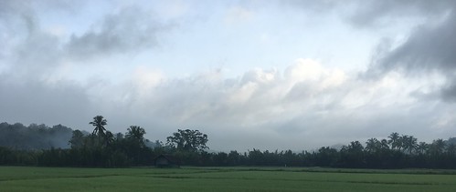 myanmar burma cycling taninthariregion taninthari myeikdistrict myeik mergui myeiktownship ingamaw rice ricefield paddy