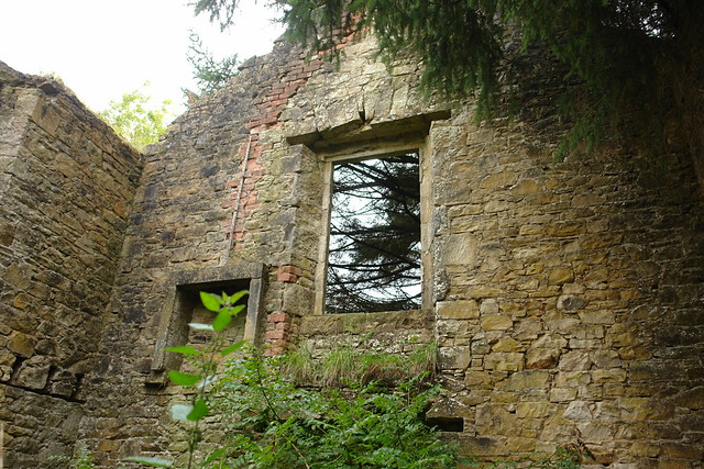 Detail of derelict house at Riccarton Junction