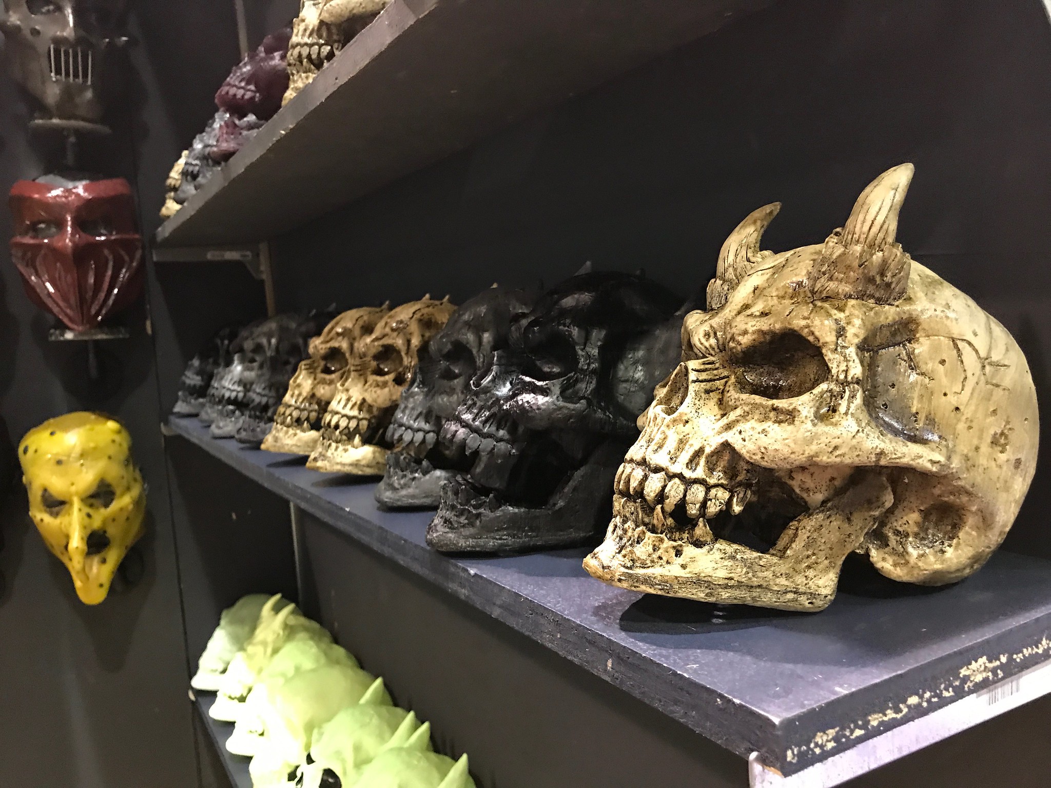 Horned skulls