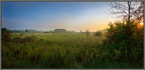 illinois hebron farm nature space rd47 sunlight plants canon morning sun summer flowers light landscape