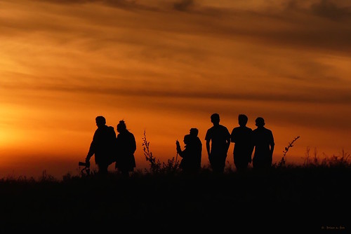 sunset silhouette garrypointpark steveston