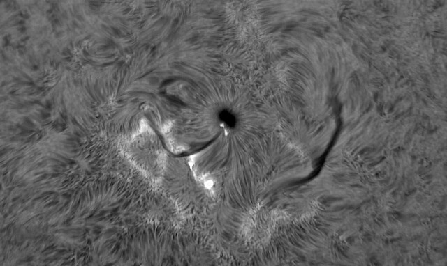 Flare activity in AR2670 on August 5 2017 T_10-45-18-0449_L_pipp_lapl3_ap884_1 ip90
