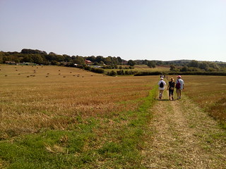 Walkers and Bales