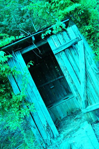 outhouse country abandoned green overgrown rural