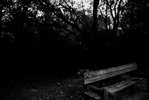 a bench | Estrela Assunção | Flickr