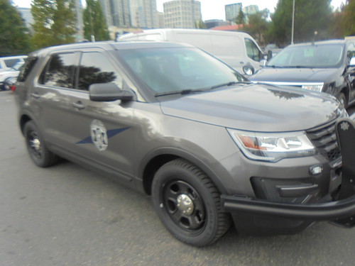WSP In Grey | by In Memoriam Bellevue Bob