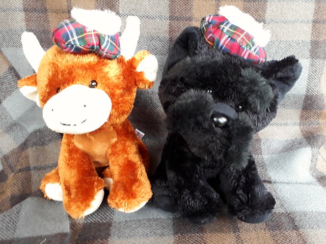 Scottish Highland  Soft Toys