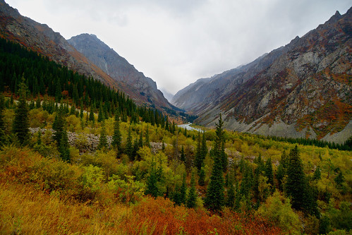 bishkek kyrgazstan nature juniparnationalparkcentralasiaautumnforest