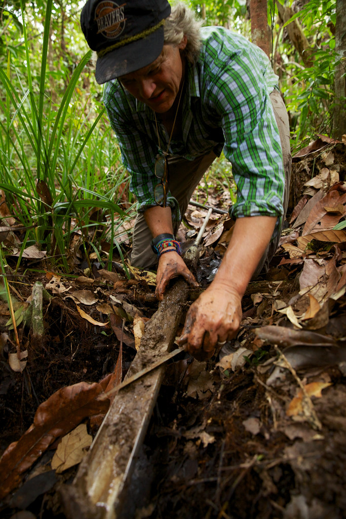 Center for International Forestry Research (CIFOR) scientist takes a soil sample to be analyzed.