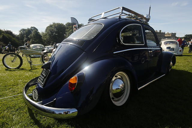Volkswagen Beetles