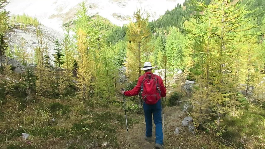 Pocaterra Ridge - Alpine Larch Hike - Intro movie