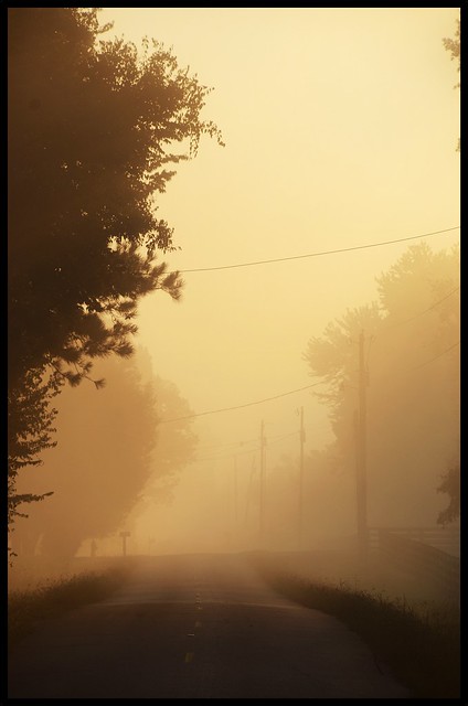 Walk On Down A Foggy Road.