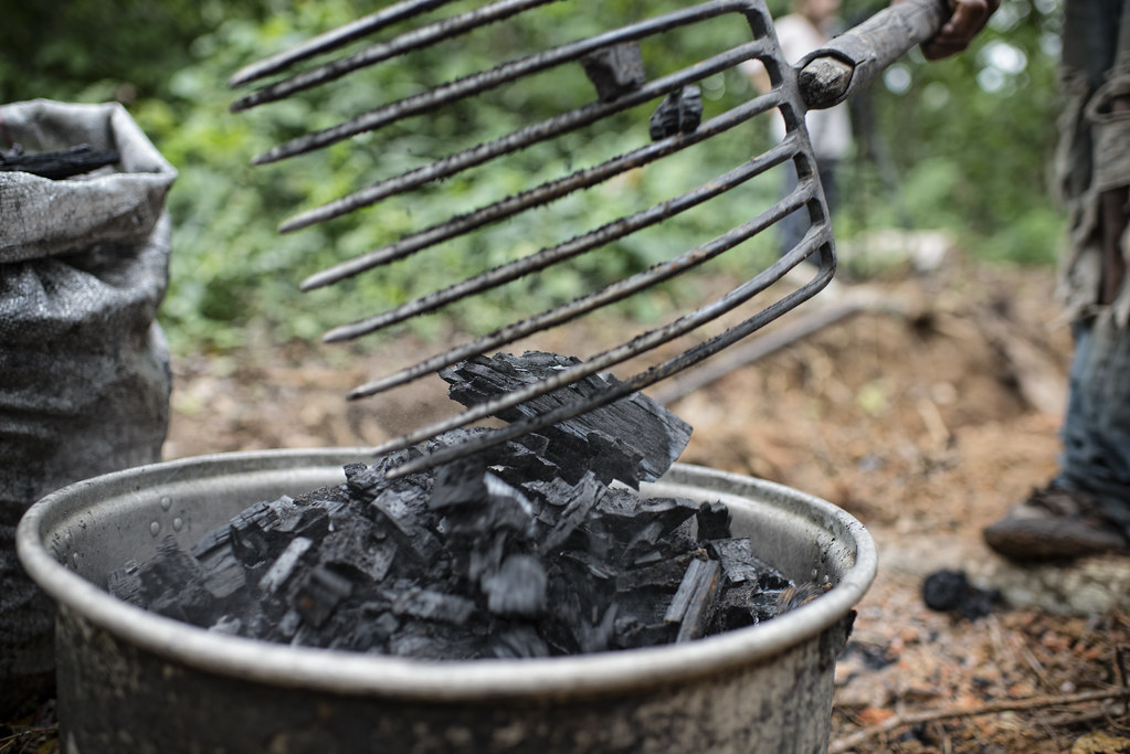 Cooling charcoal in a forest near Ovangoul village, Center Region, Cameroon.