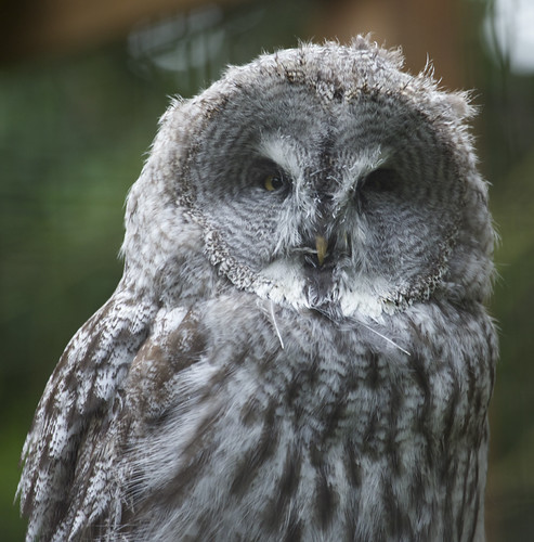 file_3092x3138_042386 | by mikeculley591