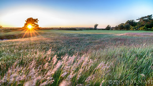sunset green nature grass zeiss golf landscapes nikon sweden scania leefilters zf2 distagont2821 leeproglass06nd lee09softgnd d800e leelandscapepolariser