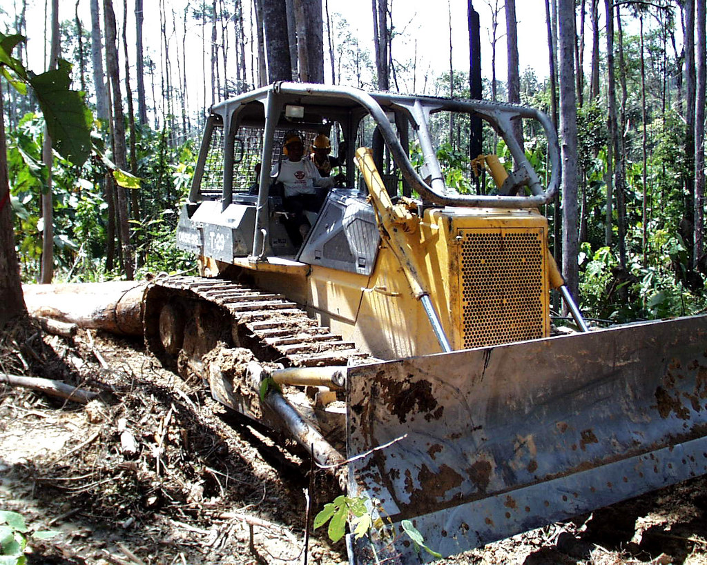A bulldozer dragging a tree in Indonesia.