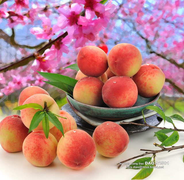 DAO-92581 台灣水果,台灣水果月曆,水果月曆,水蜜桃,桃子