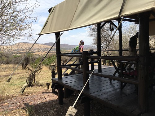 tanzania serengeti safari
