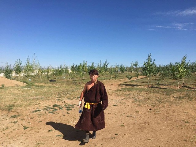 Culture mongole, séjour humanitaire - GlobAlong
