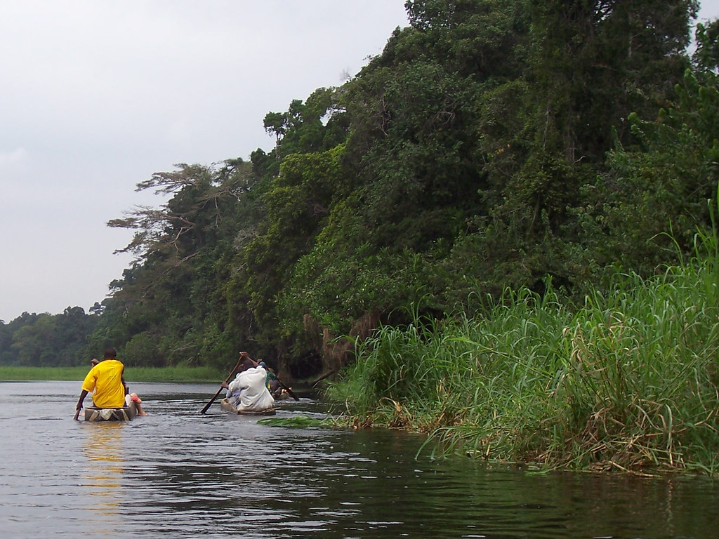 The landscape of Cameroon while traveling down stream.