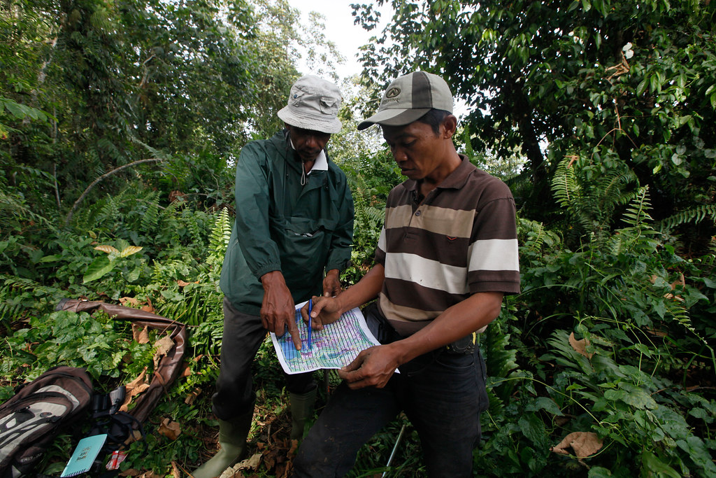 Indrianto, right, and Suratman of Yayasan Ekosistem Lestari (YEL) check a map at the healthy part of Tripa peat swamp...