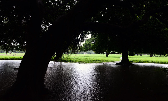 Moods of Monsoon : Kolkata Maidan, Kolkata, India - VII
