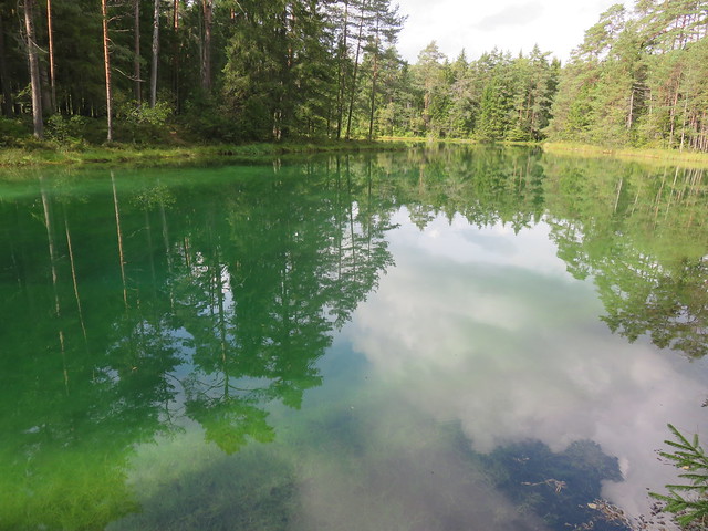 Rohelise järve nimeline roheline järv