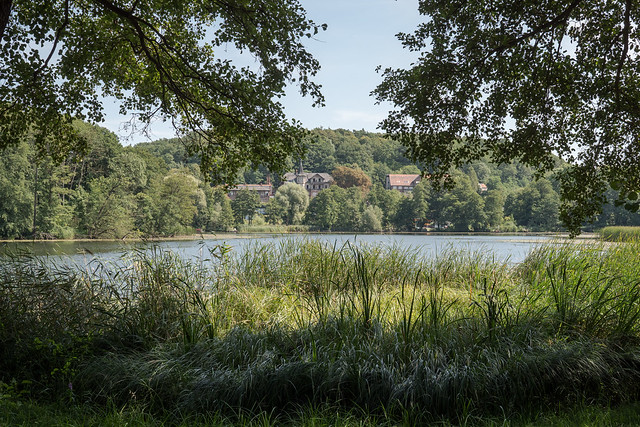 Buckow: Am Griepensee im Schlosspark - Griepensee shore in the Manor Park