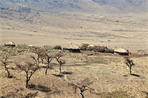 tanzania masaii huts homes greatriftvalley valley hills tribe eastafrica africa landscape spectacular nature acaciatrees trees vista view