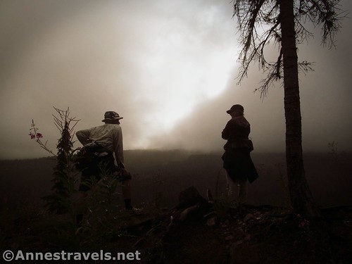 Misty day on the Mazama Trail, Mount Hood National Forest, Oregon