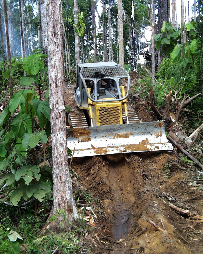 A bulldozer dragging a tree in Indonesia.