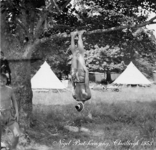 462#Nigel bat-hanging, Chudleigh 1953.  IP.  jpg