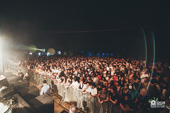170709_bonobo_289