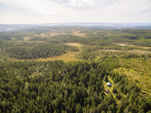 Nysetra i Nord-Odal | by Statskog SF