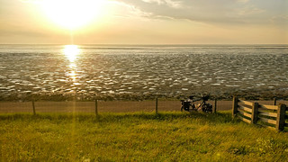 Cycling at sunset in Friesland