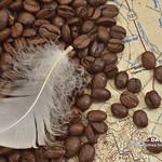 DAO-92646 咖啡,咖啡豆,食材,豆子,羽毛