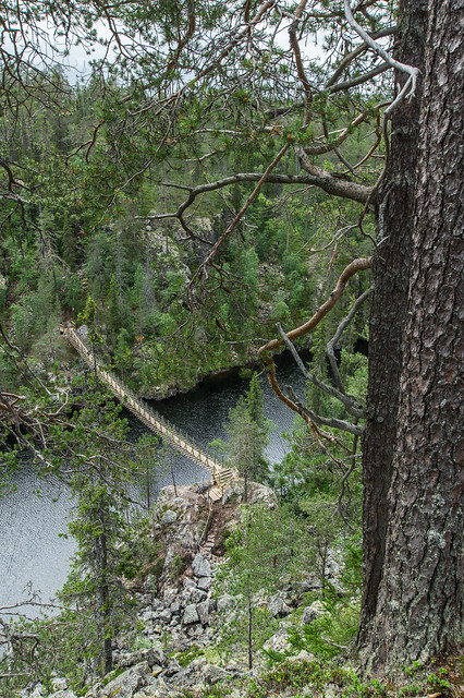 Julma-Ölkky hanging bridge