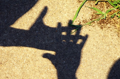 Eclipse shadows | by SlartyB52