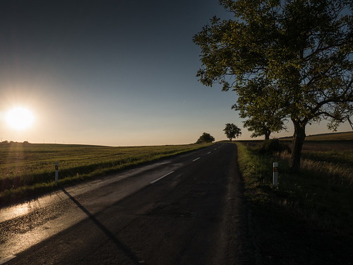 road tarmac sun shine sunset tree empty sky landscape slovakia