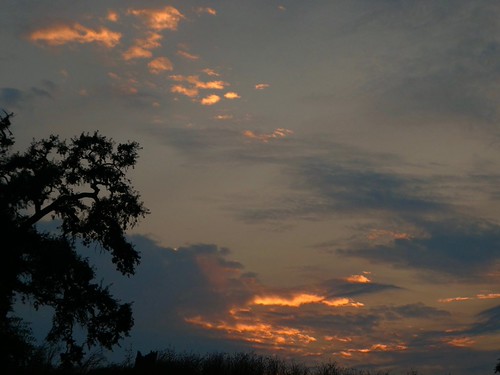 High On A Hill by outdoorPDK, Sunset at Alston Park.sunset