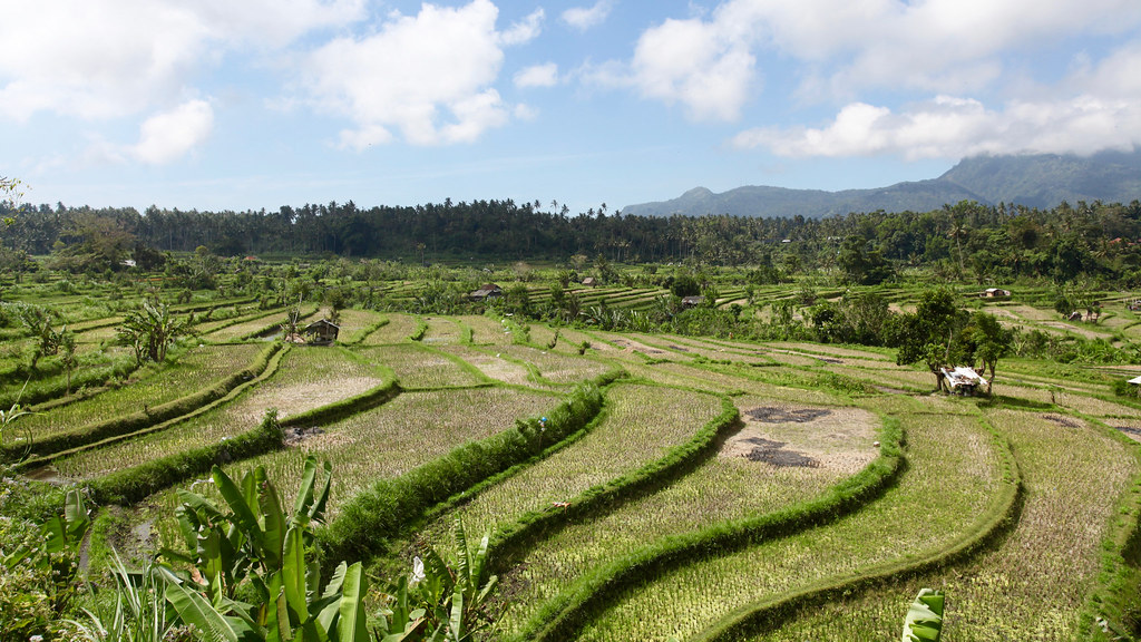 Bali
