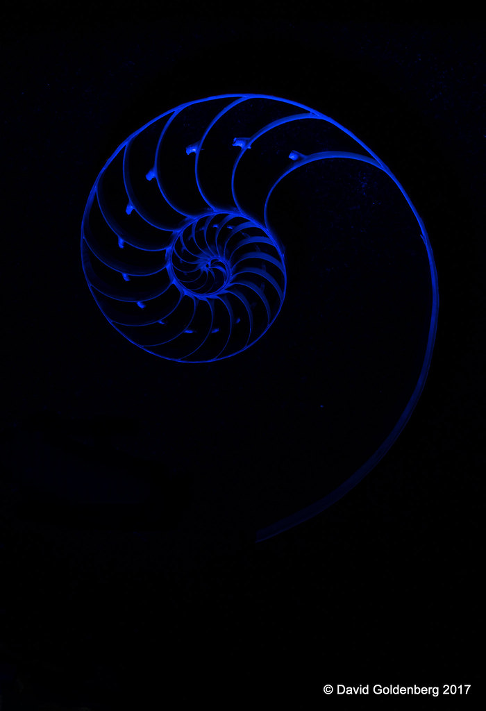 Spiral in blue